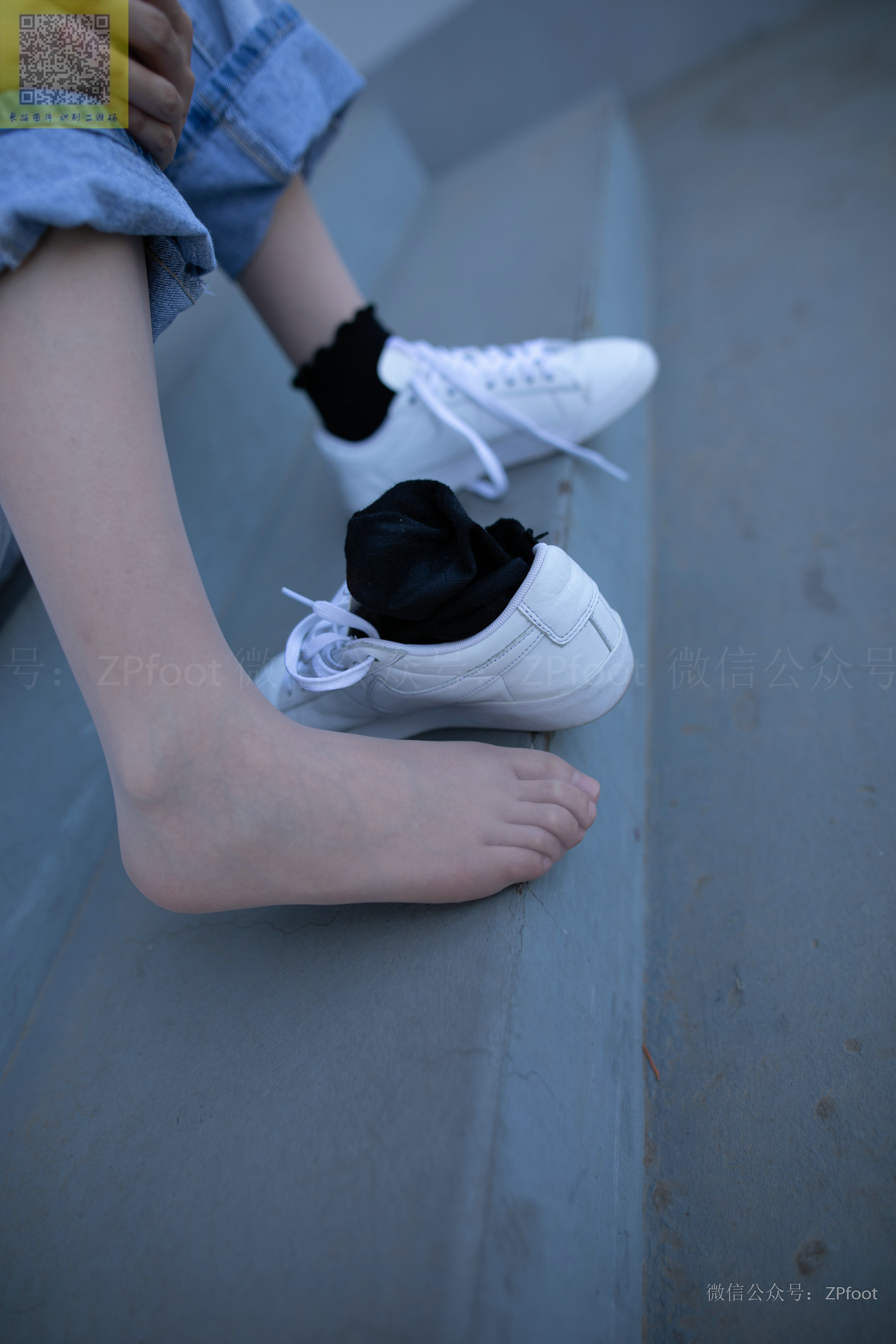 ISS山茶摄影 024 鑫鑫库里丝